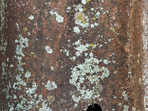 Corrugated metal with lichens and a round hole