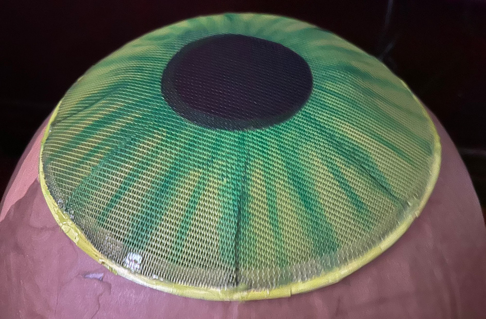 A close up of a large sphere covered in brown paper mache; perched on top of it is a piece of screen material in a dome shape that's been painted to look like the iris and pupil of an eye.