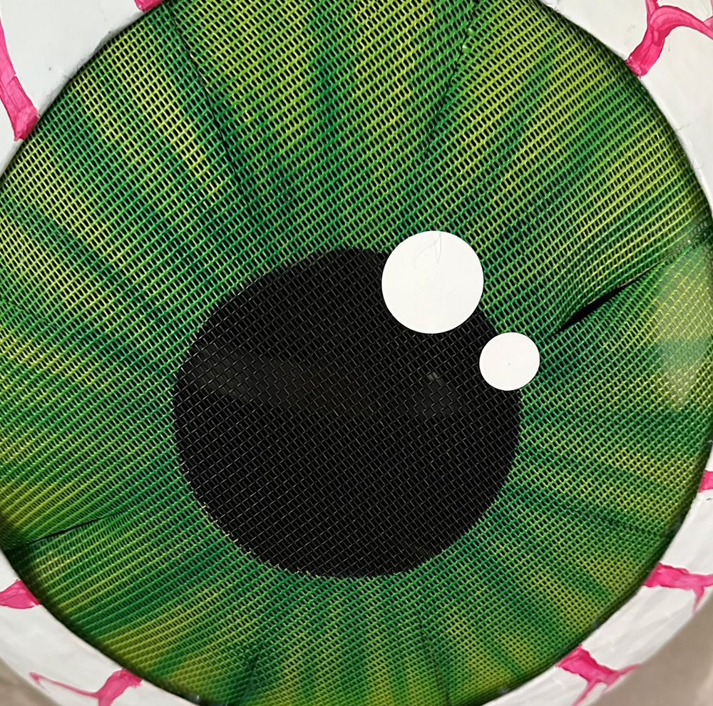 Close up of the green iris and black pupil to show the grid pattern of the screen door material.