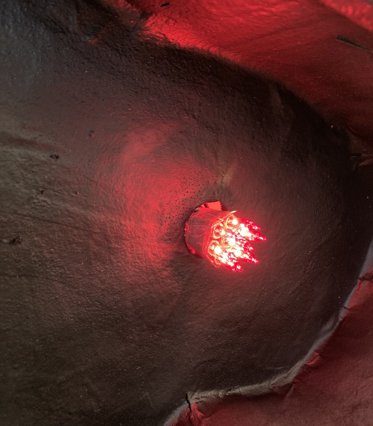 Giant paper mach&eacute; skull Halloween decoration - close up of lights in eye