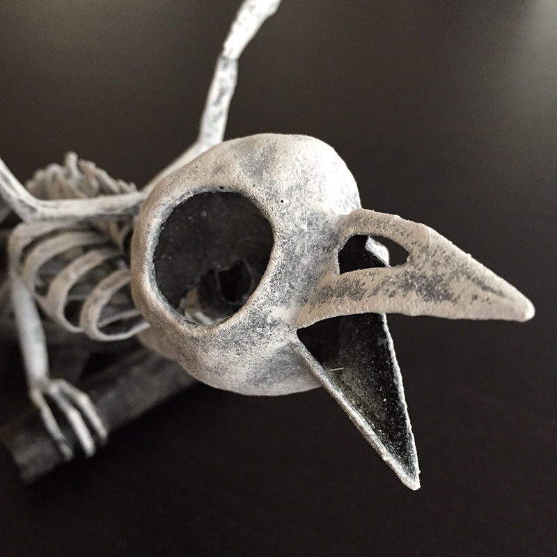 Bird skeleton - close up of skull