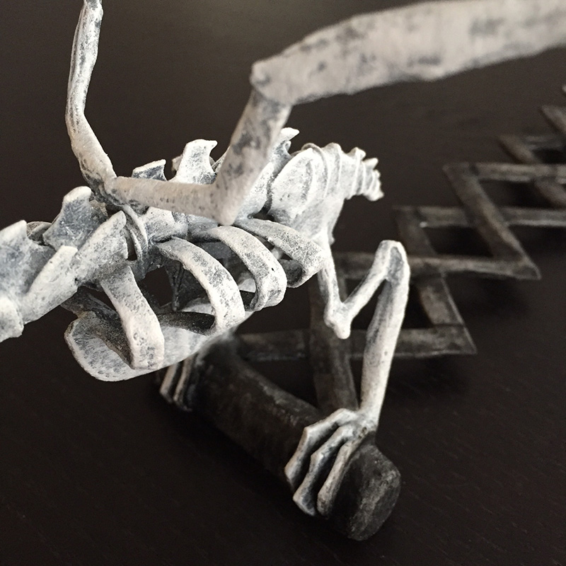 Bird skeleton - close up of body