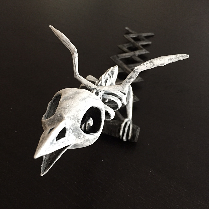 Bird skeleton - front view