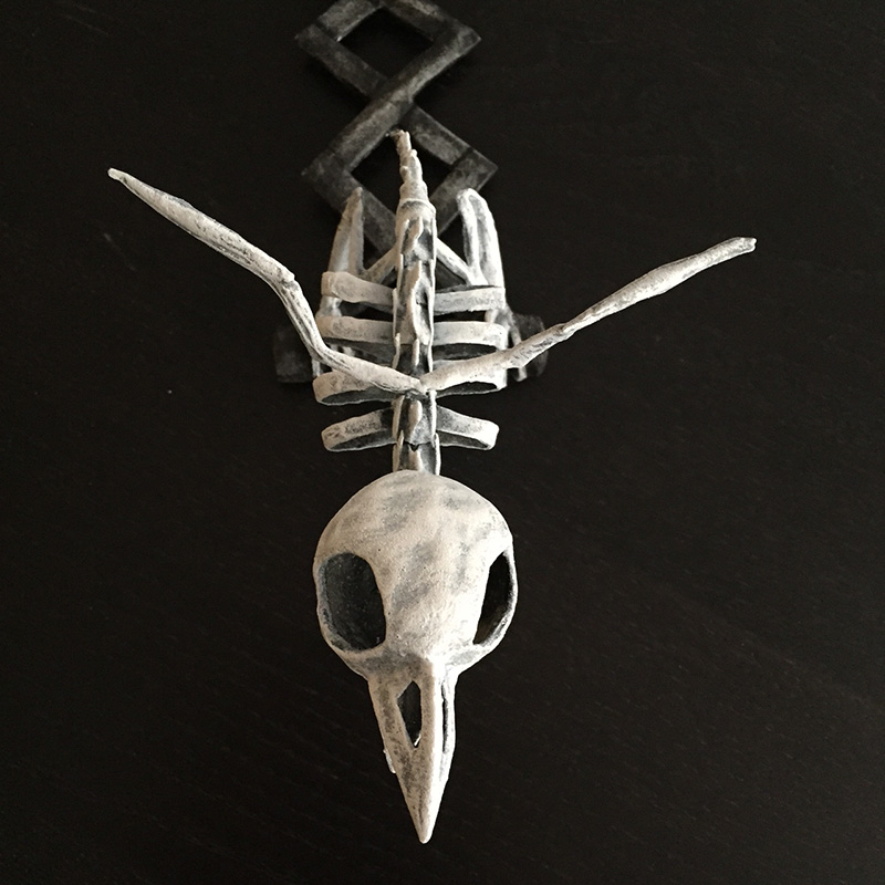 Bird skeleton - top view
