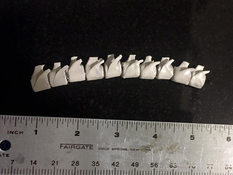 Making the vertebrae for the bird's spine