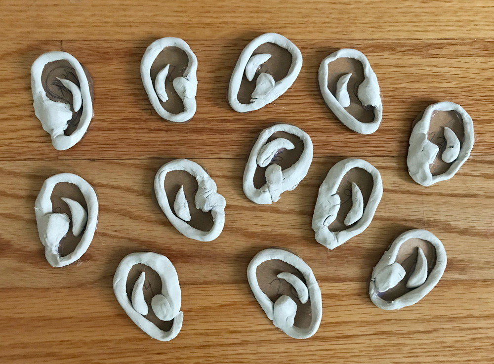 Paper mache severed heads - sculpting the ears