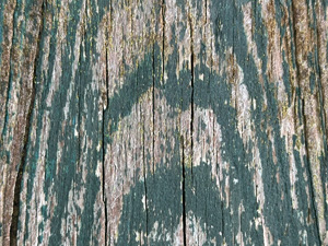 Rough wood grain texture with peeling green paint